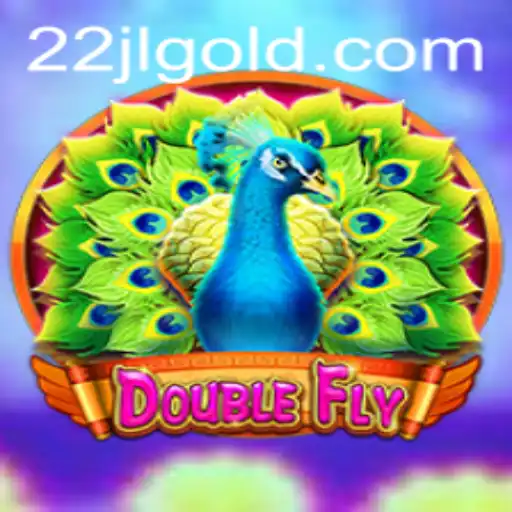 Exploring DoubleFly - Innovative Gaming Experience